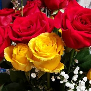 Meet your Posher, Gloria